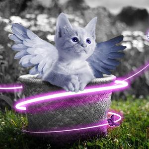 白白嫩嫩hdsexvideos
